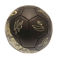 Tottenham Hotspur FC Skill Ball Signature Gold PH