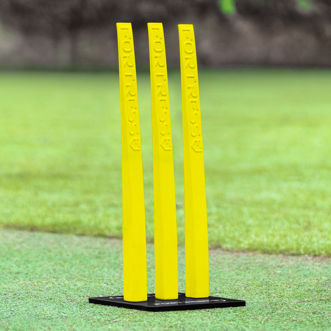 Cricket Mat Trolley (2 Mat)