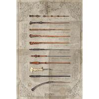 Harry Potter Poster Wands 161