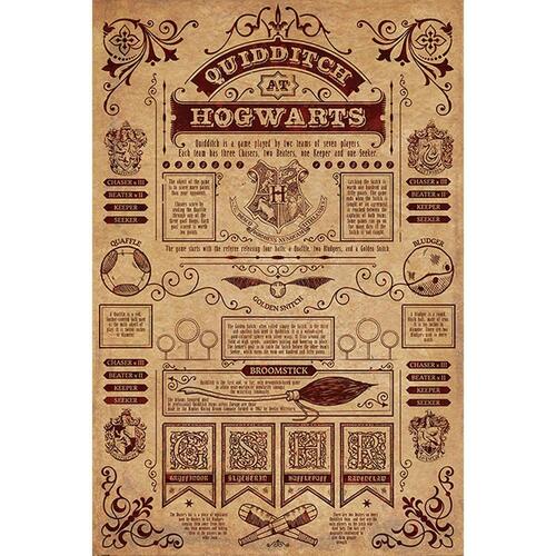 Harry Potter Poster Hogwarts Quidditch 173